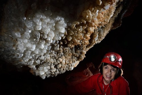 Grotte du Sud de l'Arizona (USA) - Spéléo regardant des cristaux de calcite en dent de cochon sur une paroi(SP-20-0218)